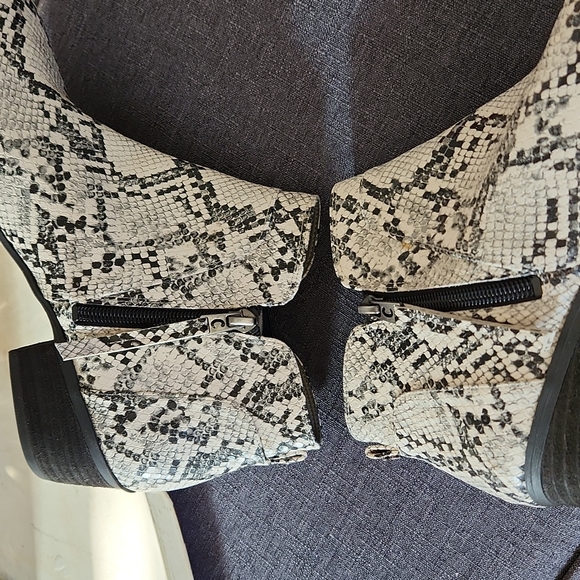 Circus by Sam Edelman Pipper Snakeskin Booties - Picture 7 of 12